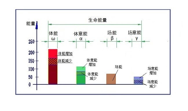 图2、生命能量示意图