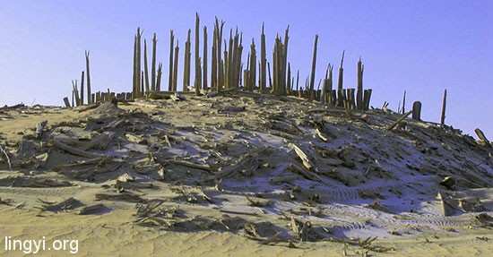 神秘的“小河墓地”：小河墓地六大未解之谜