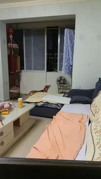 咱们人虽然看不到灵魂，但是动物确实能看到的