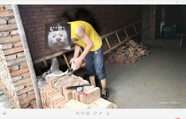 猫十七：新房里面拍照片
