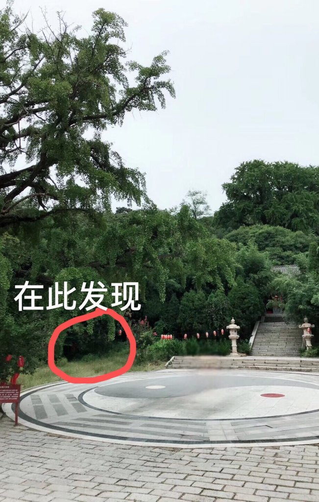 在“圣水观”修炼的精怪