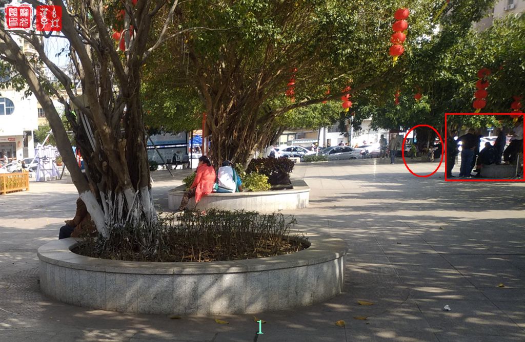小公园灵物（三）
