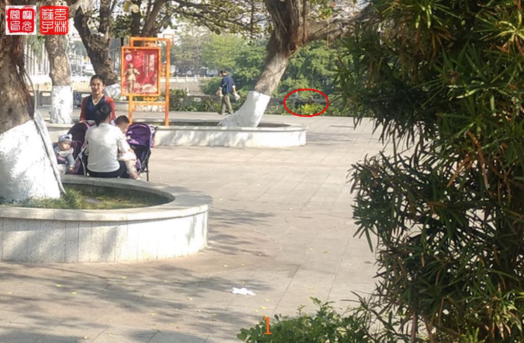 公园之灵乐陶陶