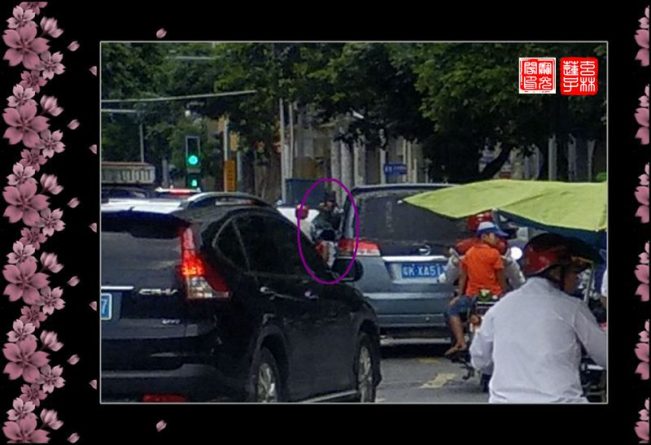 我拍到了漂亮鬼妹