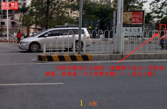 灵异照片：追拍黄犬精