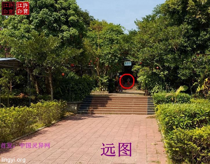 奇异小灵