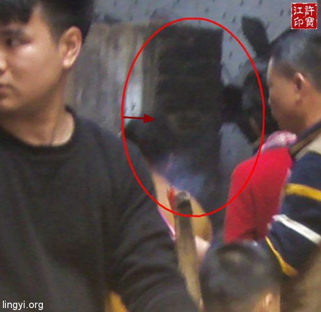 “小庙大眼女神”原址拍摄对比图