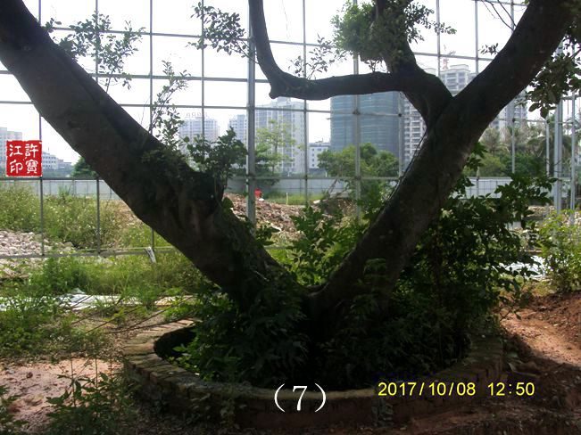 上帖《荒园就是乐园》第7张“上下都在吃”原址近拍图