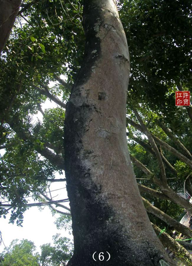 美女灵异现灵位置图三