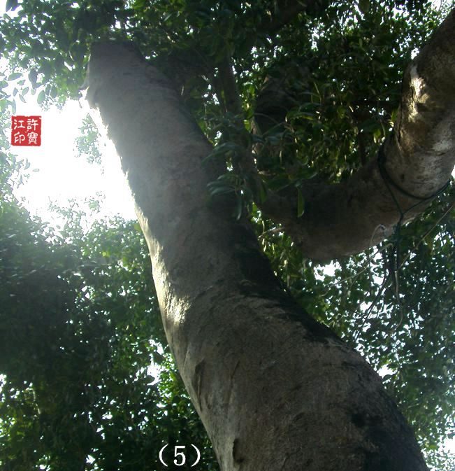 5、美女灵异现灵位置图二