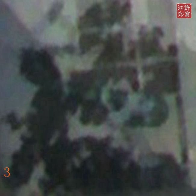 “镜面诡秘图”局部放大图二（右转一次）