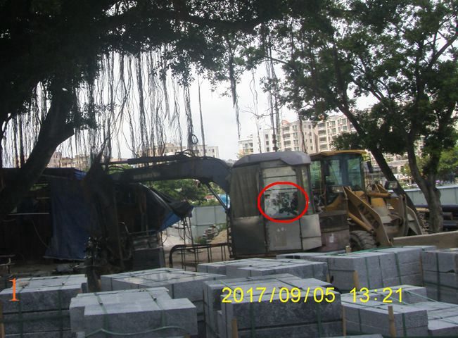 荒园就是乐园