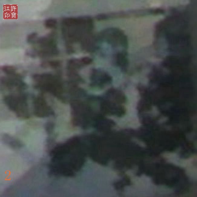 “镜面诡秘图”局部放大图一