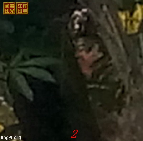 “深情一吻”局部放大图
