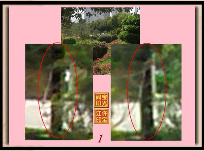 曙光农场自然生态园灵异拍摄之三：轻轻转脸、美人嘴