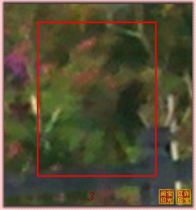 “巧俏美人嘴”放大图