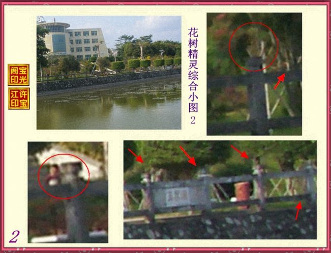 花树精灵综合小图2