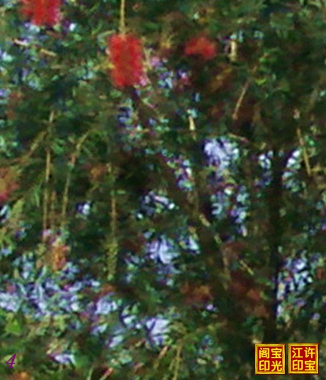 “一棵花树，就是一个快乐天堂”局部放大图一