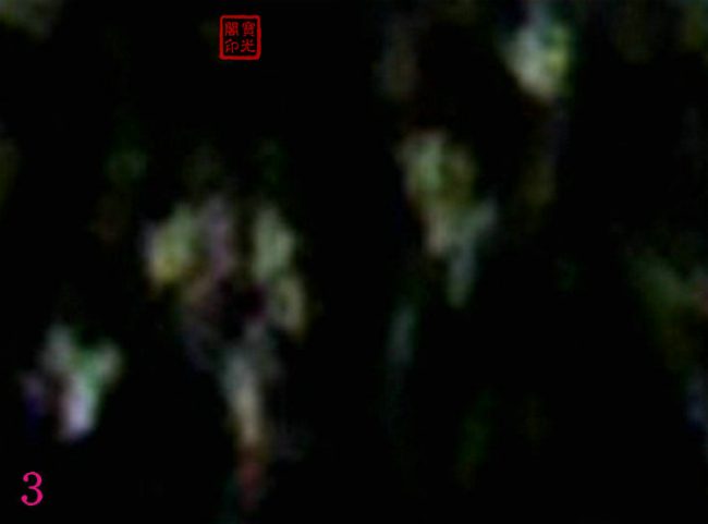 《万灵大会》局部细节放大之二