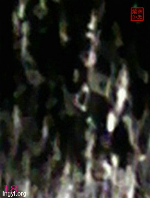 《万灵大会》局部细节放大之十七