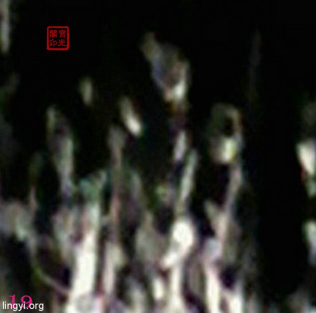 《万灵大会》局部细节放大之十七