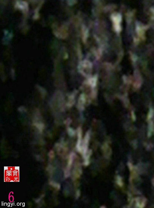《万灵大会》局部细节放大之二