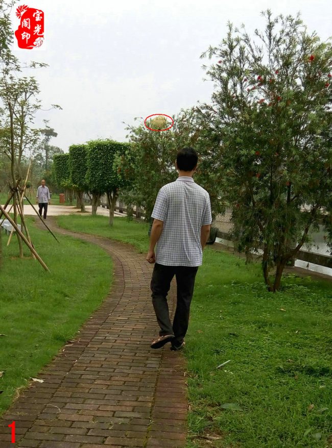 开心拍灵异，春风带笑回