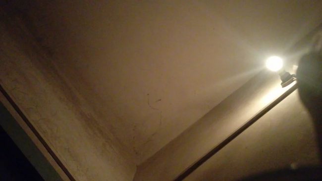 随便选的照片2