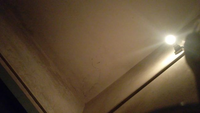 随便选的照片1