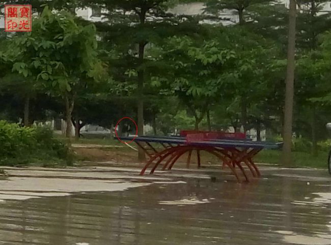 黑衣·蓝衣
