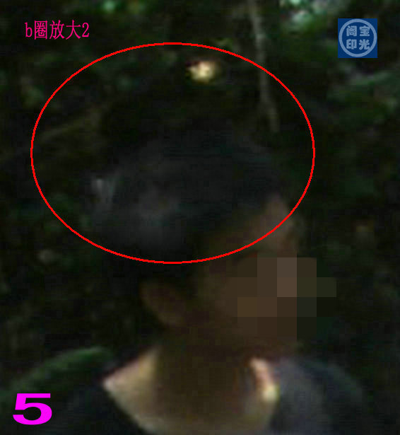 b圈放大图2