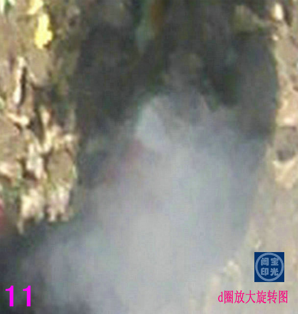 d圈放大旋转图