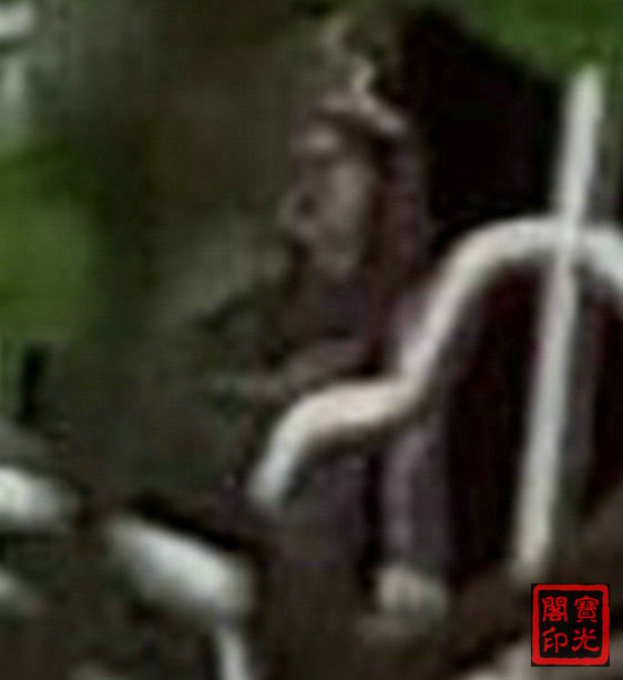 《动物·女士》放大图之女士