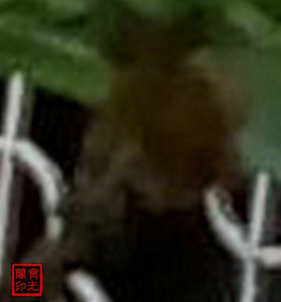 《动物·女士》放大图之动物