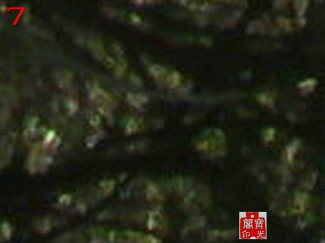 局部放大图之六