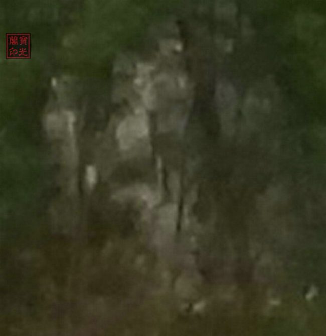 二、《集体队标》放大图之一