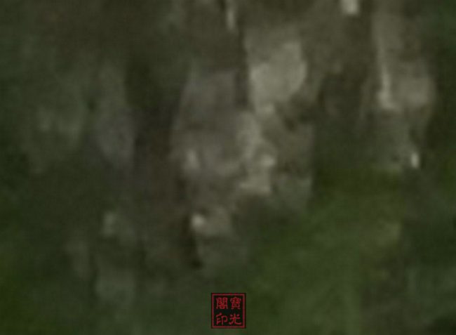四、《集体队标》放大图之三
