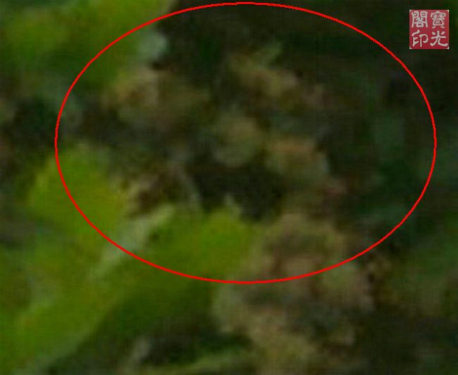《花树精灵爱春天》之“快乐的小屁孩们”