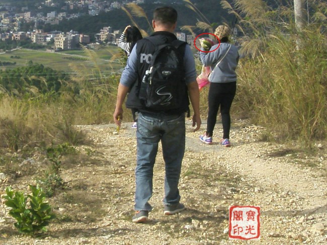 女孩手里拿着的本来是一条彩花披巾