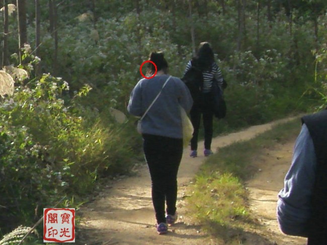 再请看女孩的左肩位置