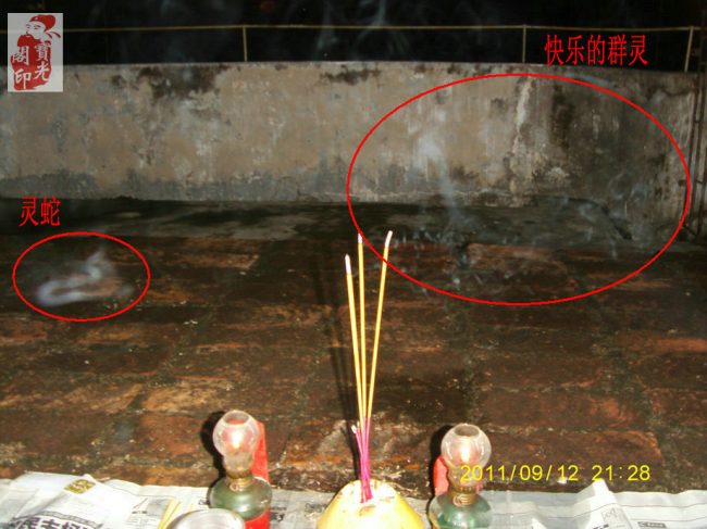 其他灵物图