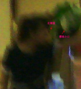 3、《商场里面灶火生》更新详述之二:黑衣人左眼吊出血红的眼珠,绿发大姐的樱桃小口隐约可见。