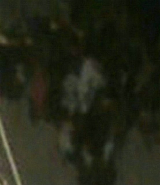 7、前面这一老一少,或者原来就是亲人。对着镜头他俩多虔诚专注!也可以想到他们多需要我们的援助。