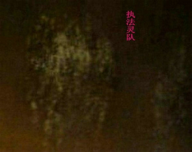 执法灵队