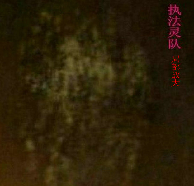 执法灵队（局部放大图）