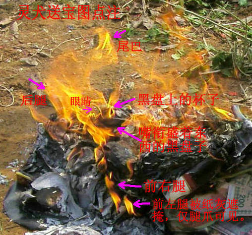 灵犬送宝图（点注）