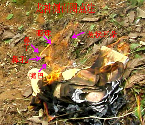 龙神侧面图（点注）