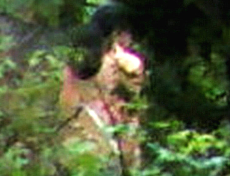 山间粉红娃3